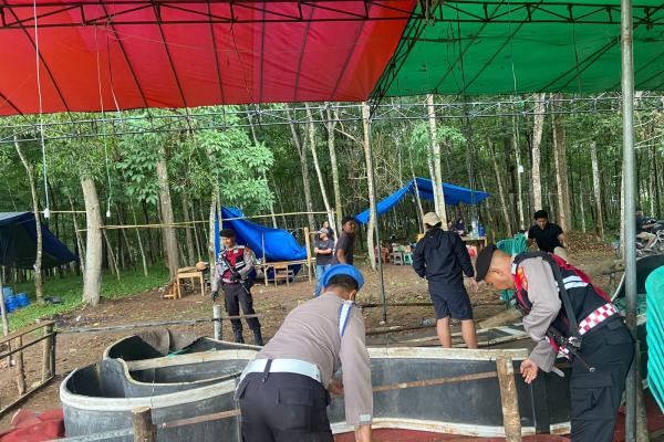 Polres Tulang Bawang Gerebek Dua Lokasi Judi Sabung Ayam di Areal Perkebunan Karet